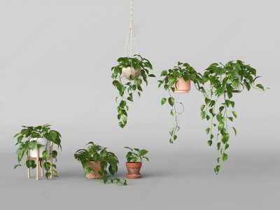 现代盆栽3D模型下载